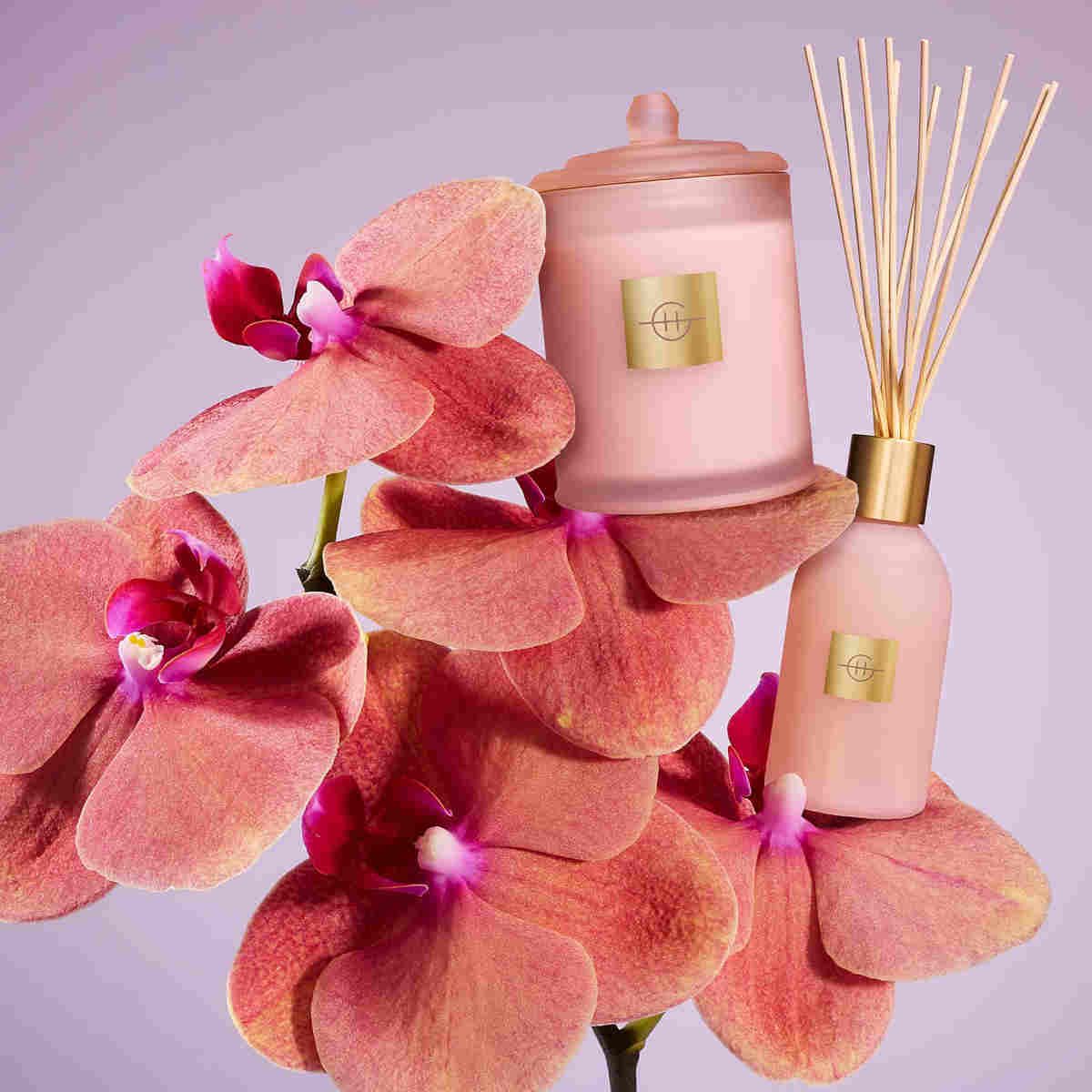 Glasshouse Fragrances Radiance In Bloom Diffuser 250ml - Image 4