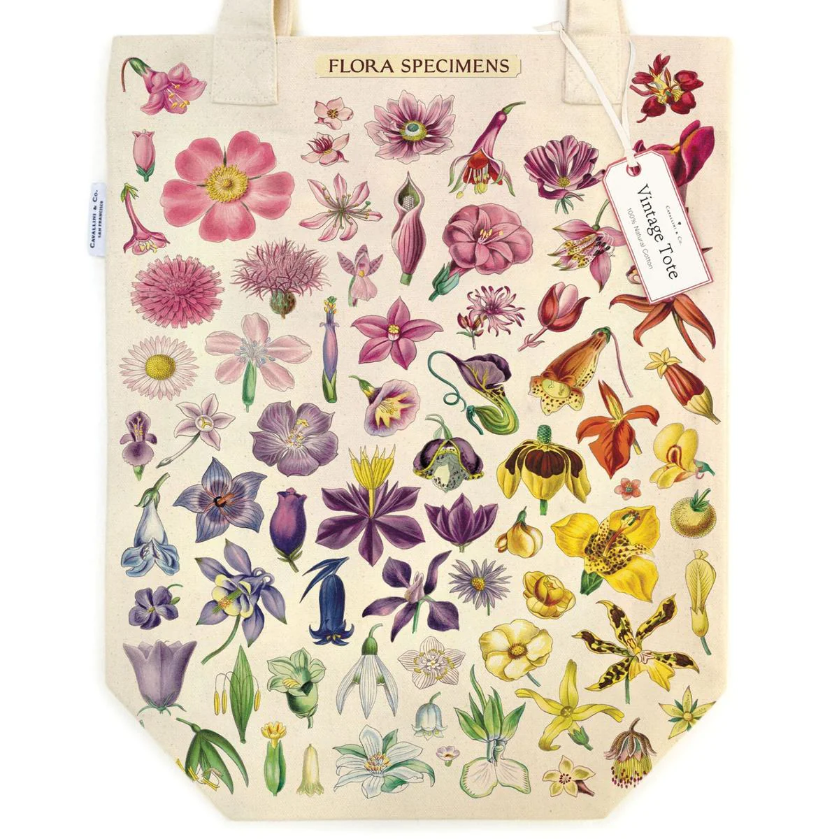 Cavallini & Co Flora Specimens Tote Bag - Image 2