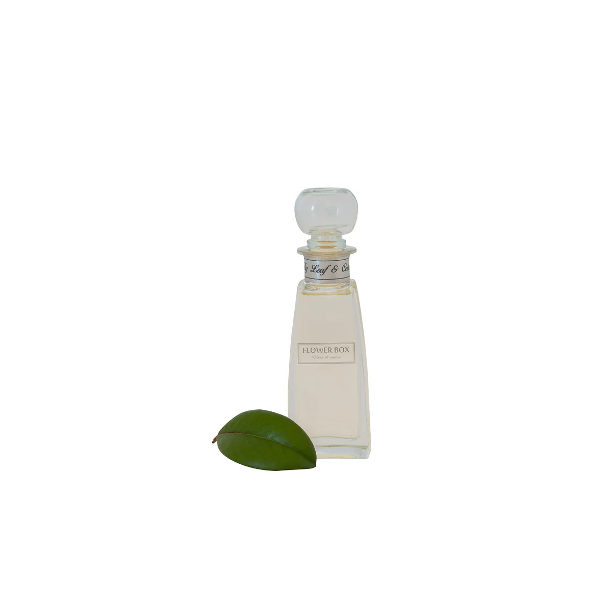 Flower Box Mini Diffuser Fig Leaf & Cedar 100ml - Image 2