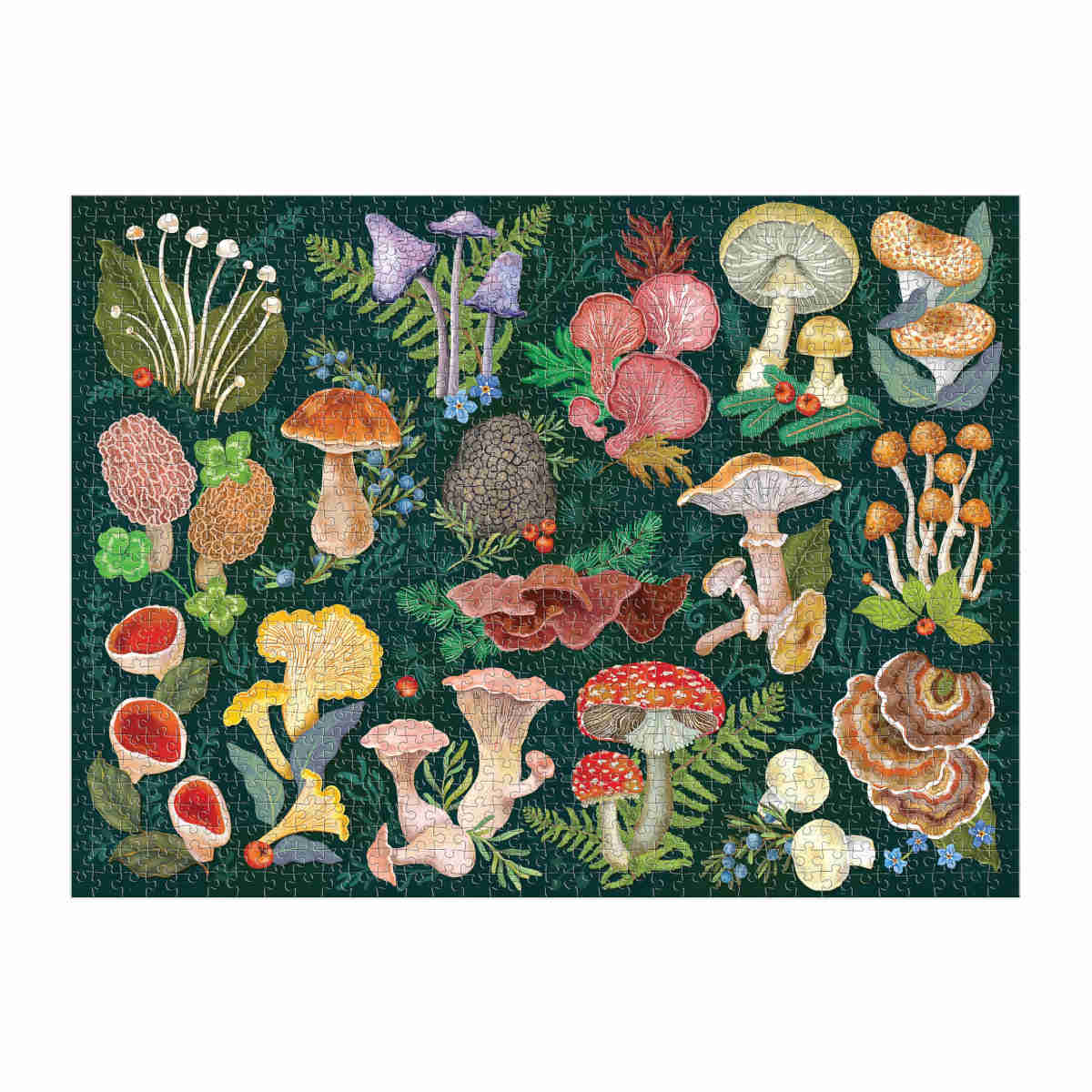 Galison World of Mushrooms Puzzle 1000 Piece - Image 2