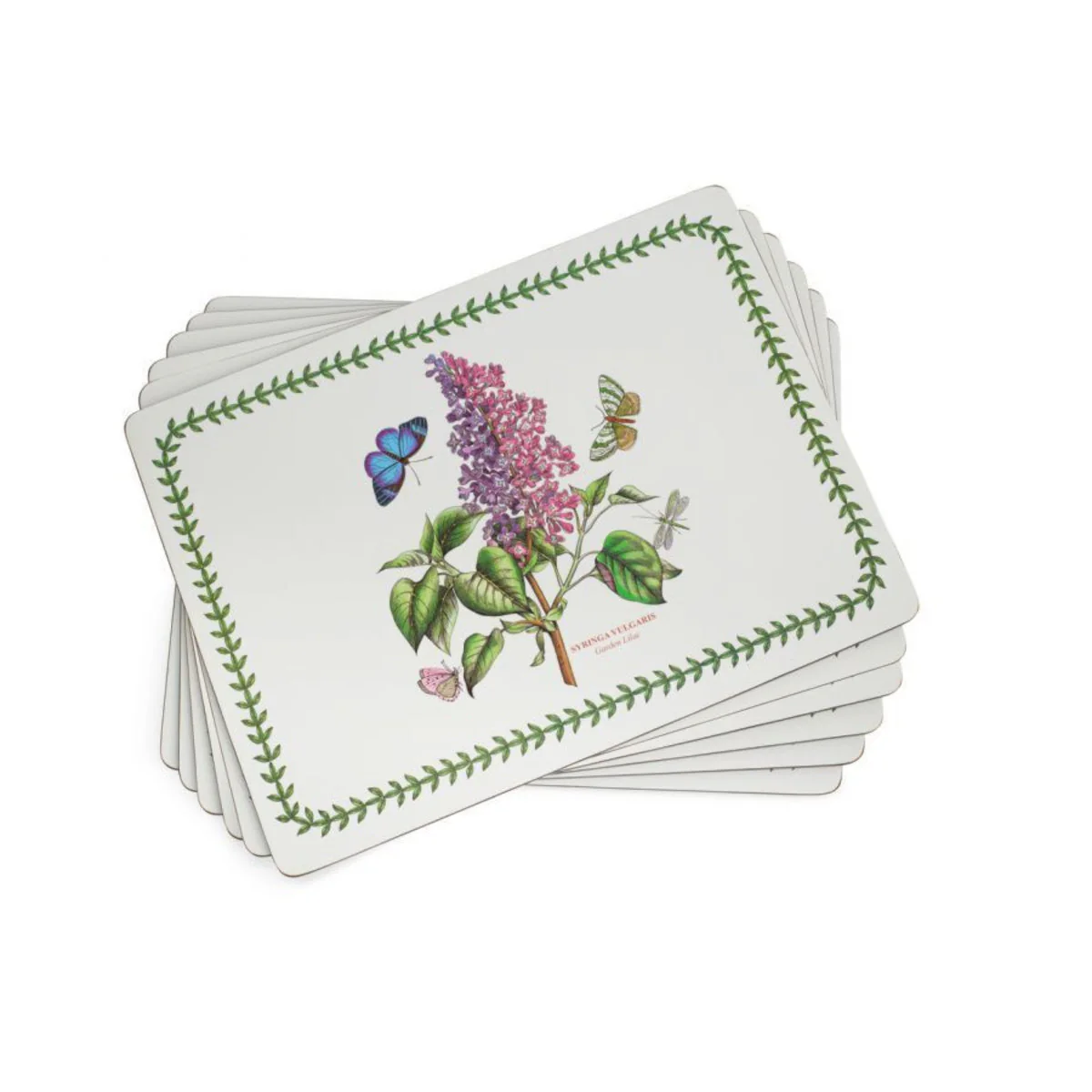 Pimpernel Botanic Garden Placemats Set of 6 - Image 2