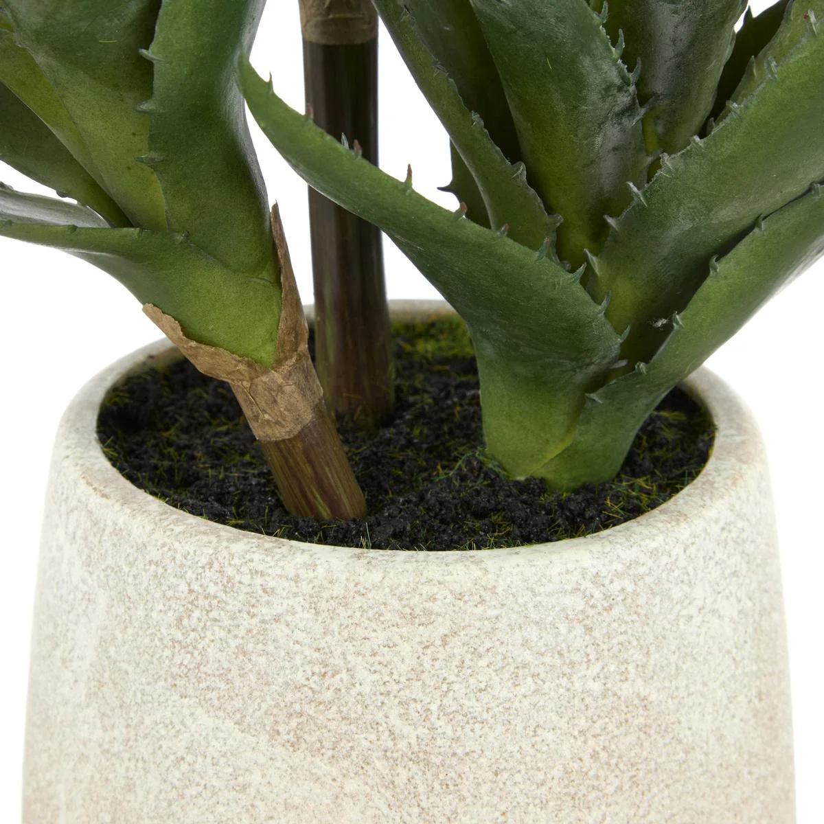 Rogue Aloe 3 Heads Pot Green 23x23x33cm - Image 5