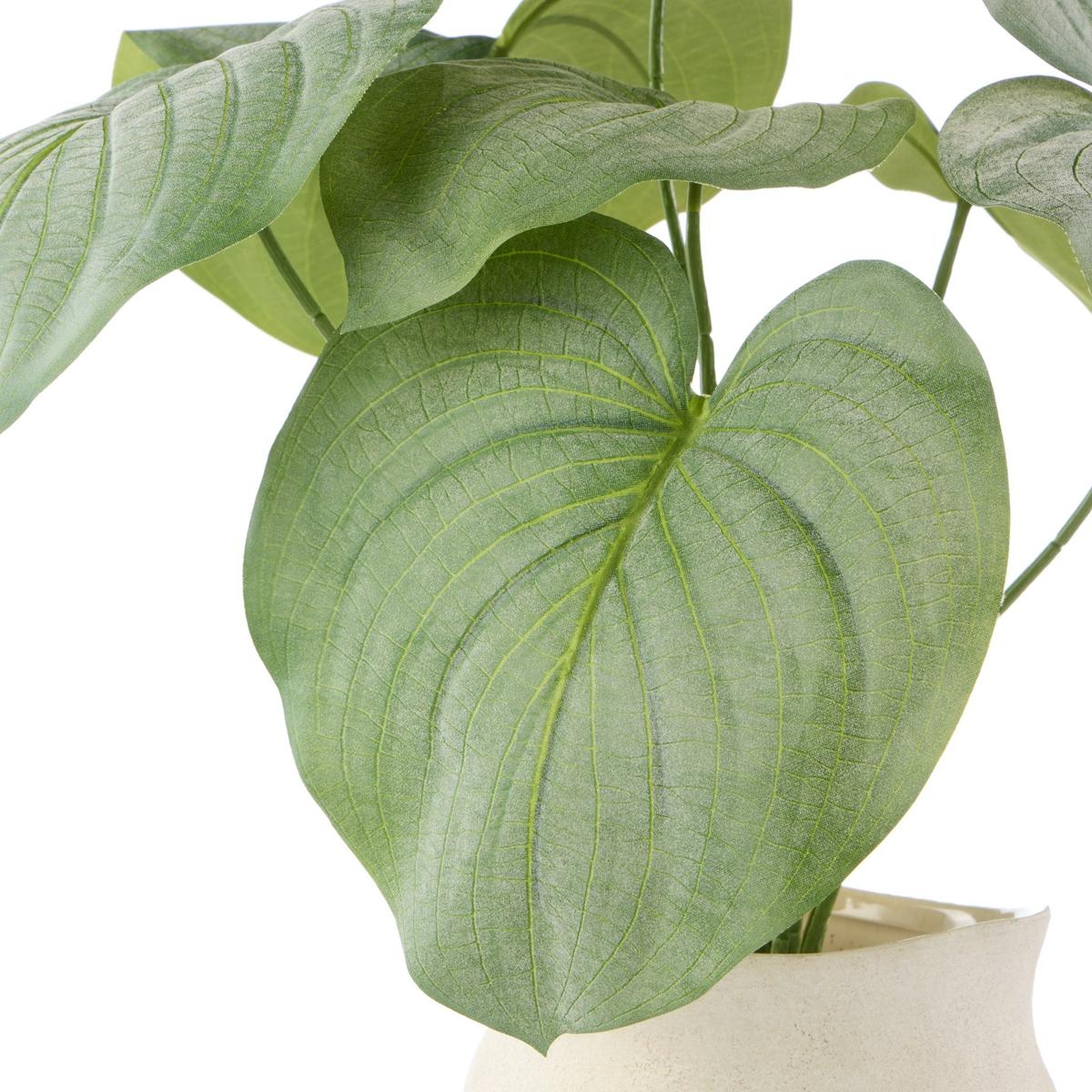 Rogue Hosta-Malia Pot Green 54x40x57cm - Image 3